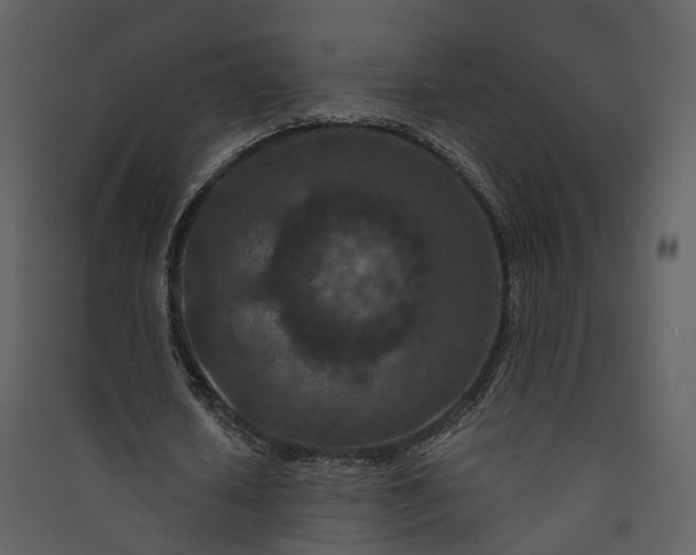 X0000089950626200707131516