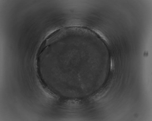 X0000089950627200707131516