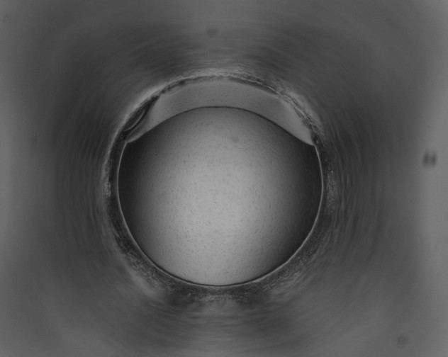 X0000089950628200707131516