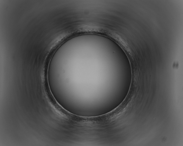 X0000089950629200707131516