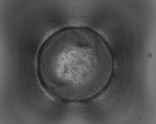 X0000089950630200707131516