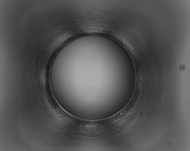 X0000089950631200707131516