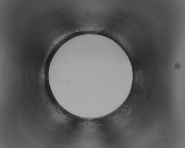 X0000089950632200707131516