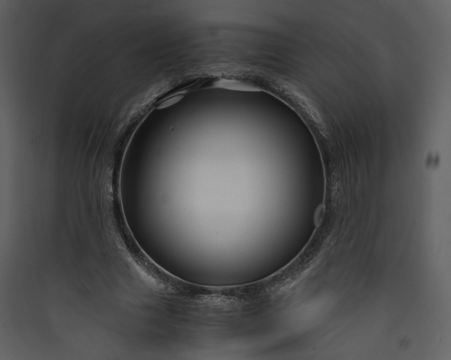 X0000089950633200707131516