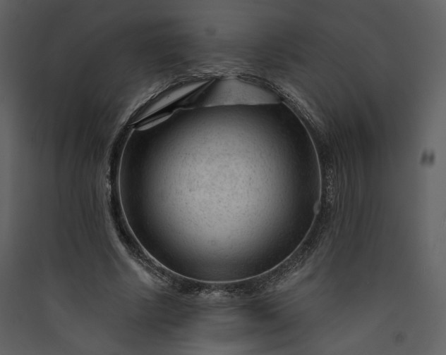 X0000089950634200707131516