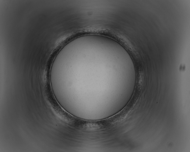 X0000089950636200707131516