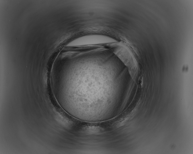 X0000089950637200707131516