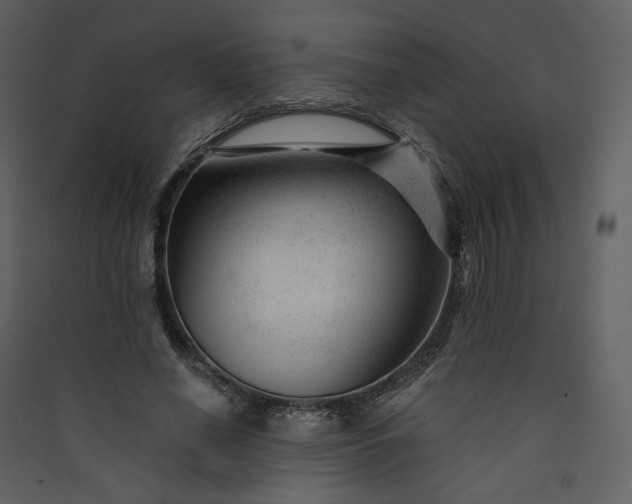 X0000089950638200707131516