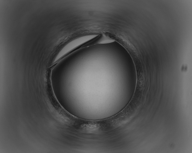 X0000089950639200707131516