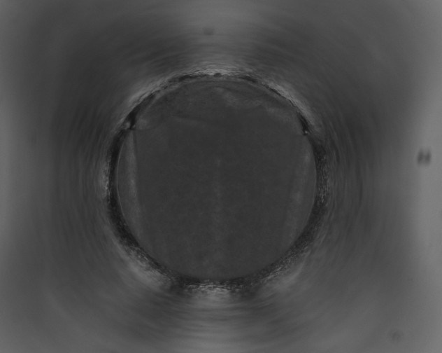 X0000089950640200707131516