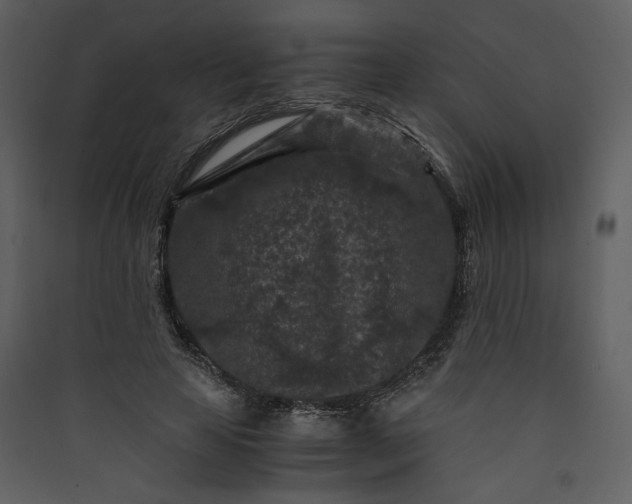 X0000089950641200707131516