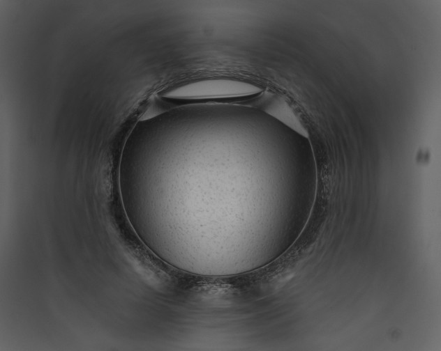 X0000089950642200707131516