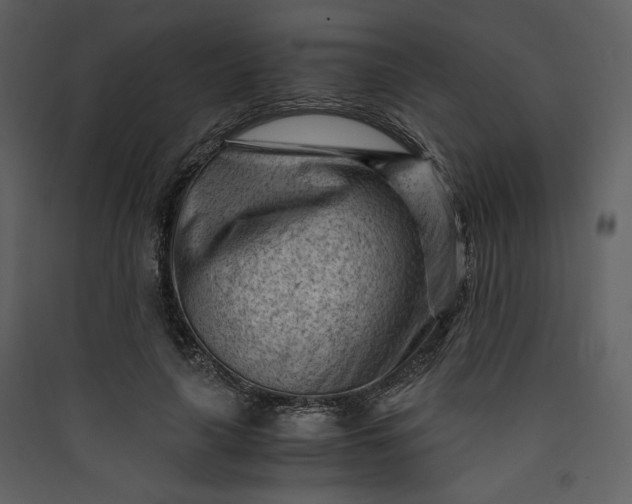 X0000089950643200707131516