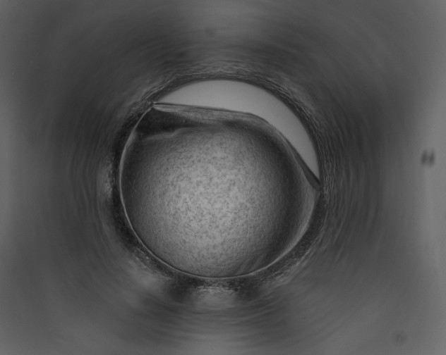 X0000089950644200707131516