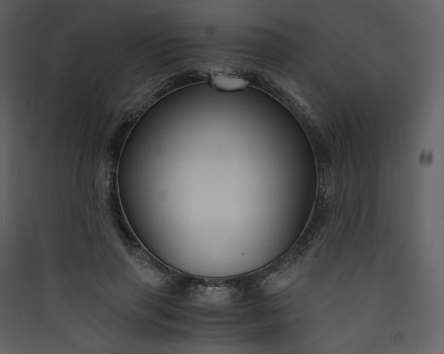 X0000089950645200707131516
