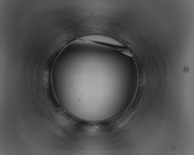 X0000089950646200707131516