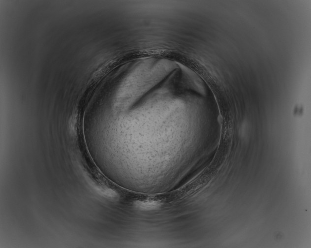 X0000089950647200707131516