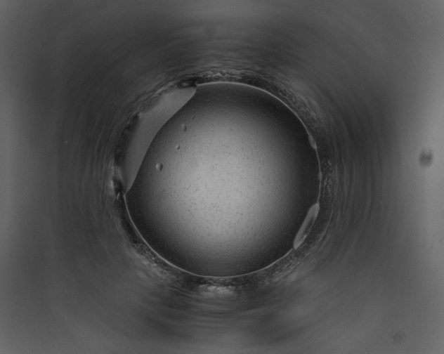 X0000089950649200707131516