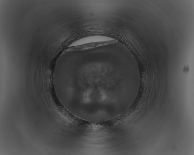 X0000089950650200707131516