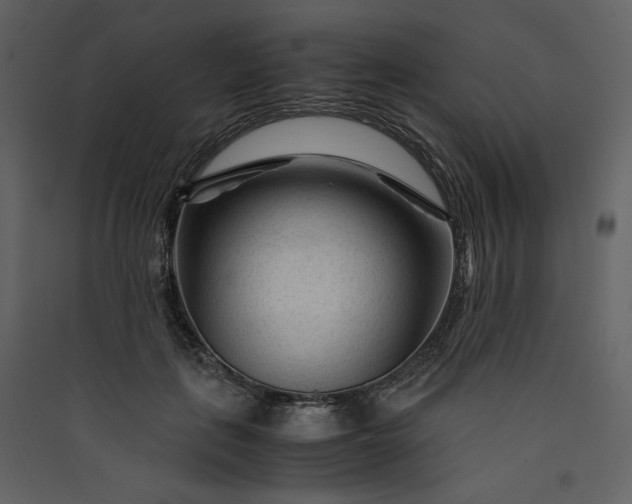 X0000089950651200707131516