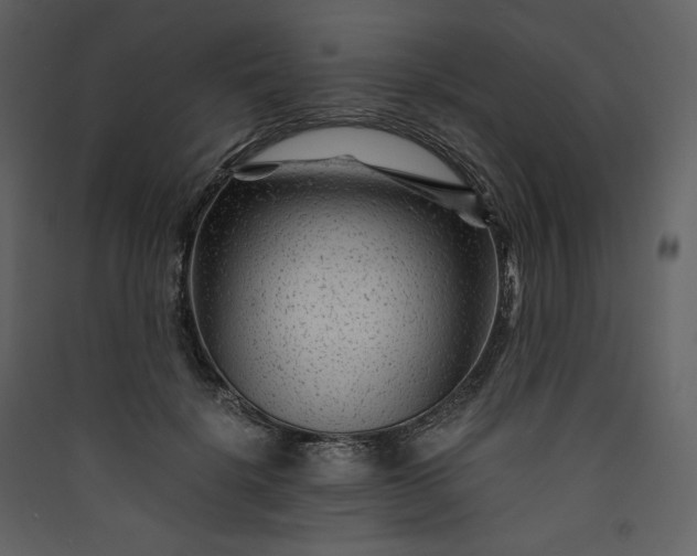 X0000089950652200707131516