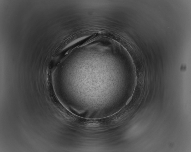X0000089950653200707131516