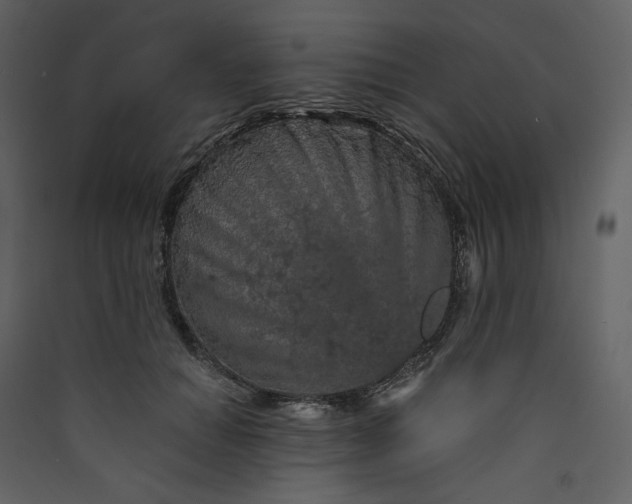 X0000089950654200707131516
