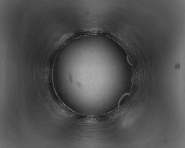 X0000089950656200707131516