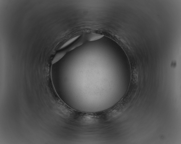 X0000089950657200707131516