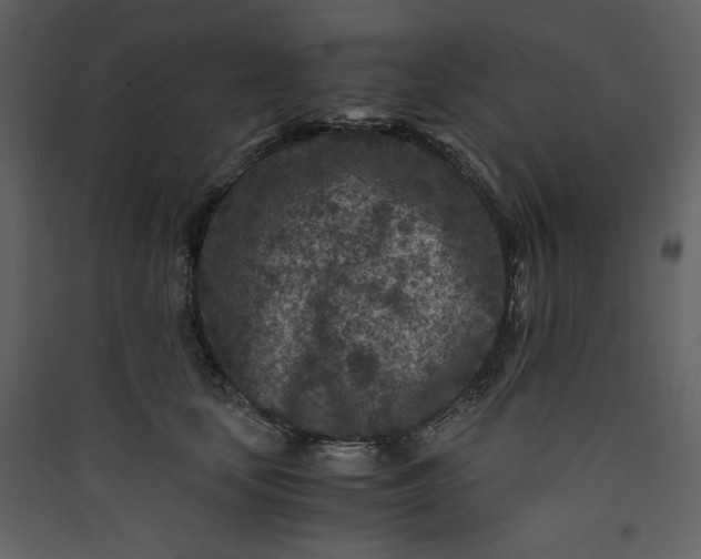 X0000089950659200707131517
