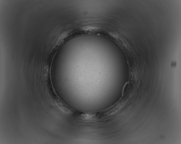 X0000089950660200707131517