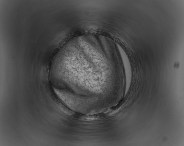 X0000089950661200707131517