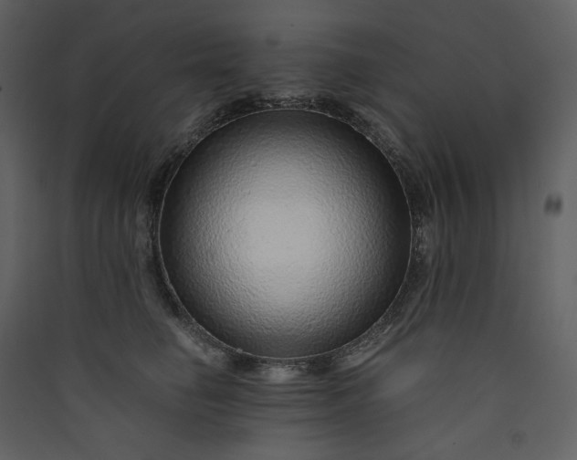 X0000089950662200707131517