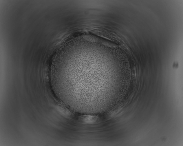 X0000089950663200707131517