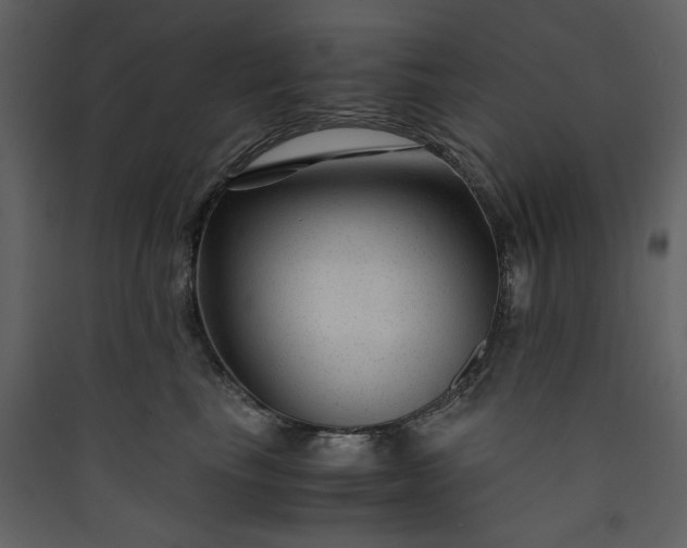 X0000089950665200707131517