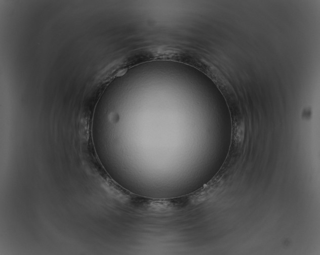 X0000089950666200707131517