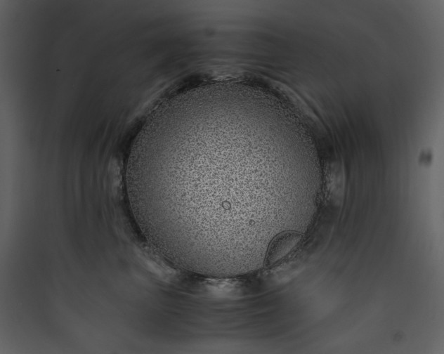 X0000089950667200707131517