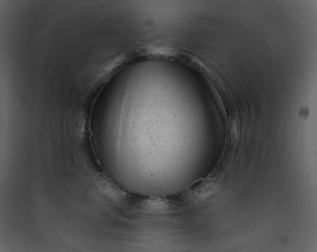 X0000089950668200707131517