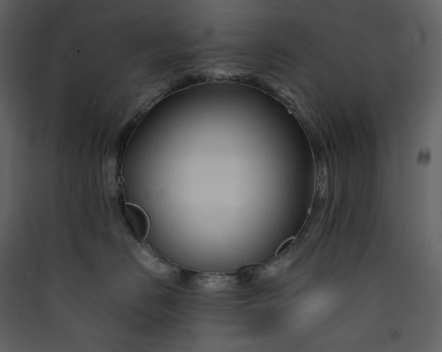 X0000089950670200707131517