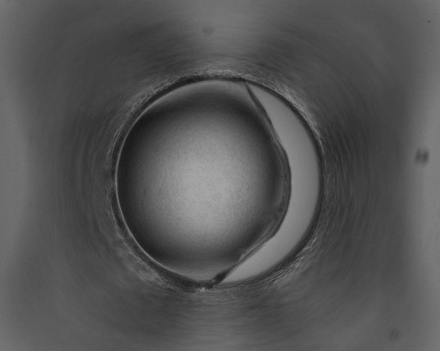 X0000089950673200707131516