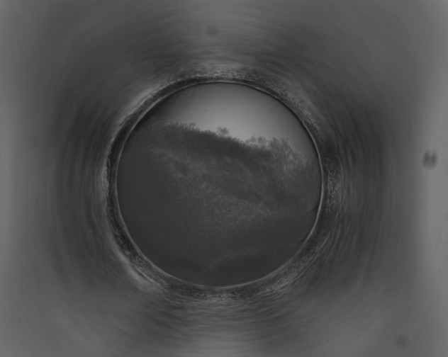 X0000089950674200707131516