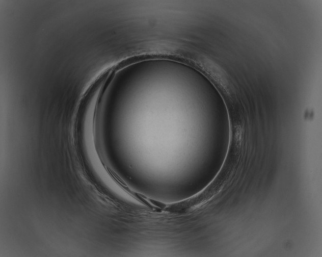 X0000089950676200707131516