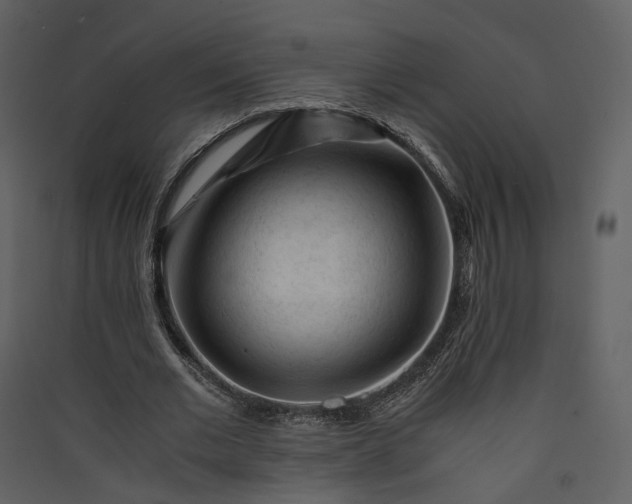 X0000089950677200707131516