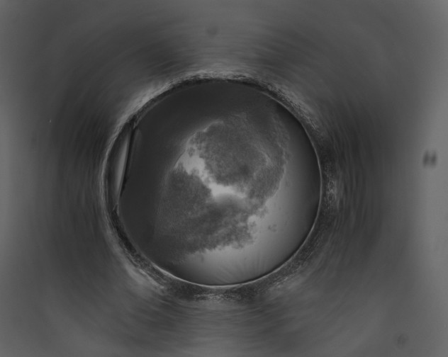 X0000089950678200707131516