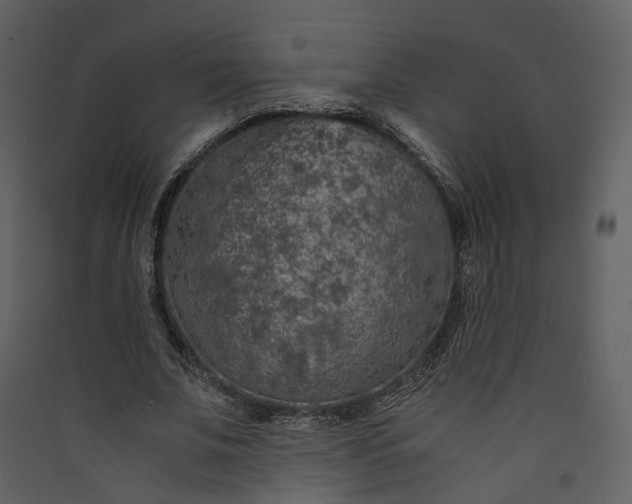 X0000089950679200707131516