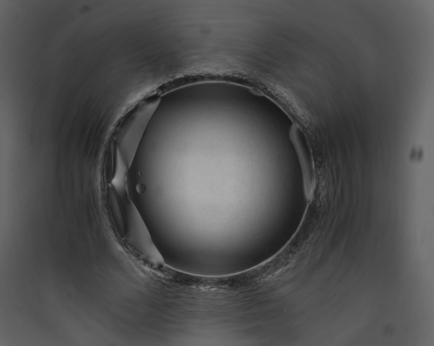 X0000089950680200707131516