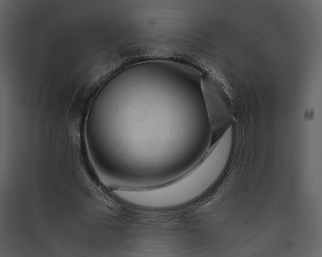 X0000089950681200707131516