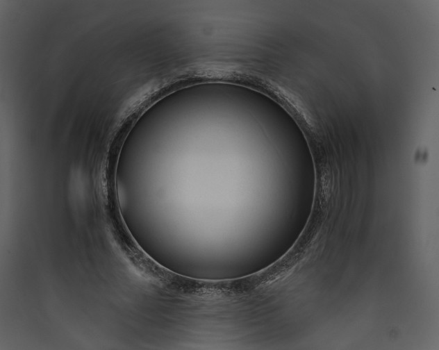 X0000089950682200707131516
