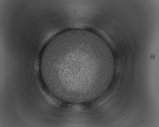 X0000089950683200707131516