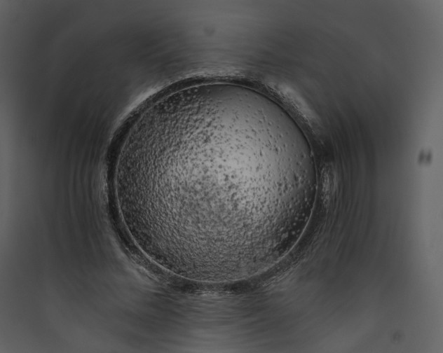 X0000089950684200707131516
